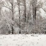 Vancouver’s Snow-Free Winter May Soon End