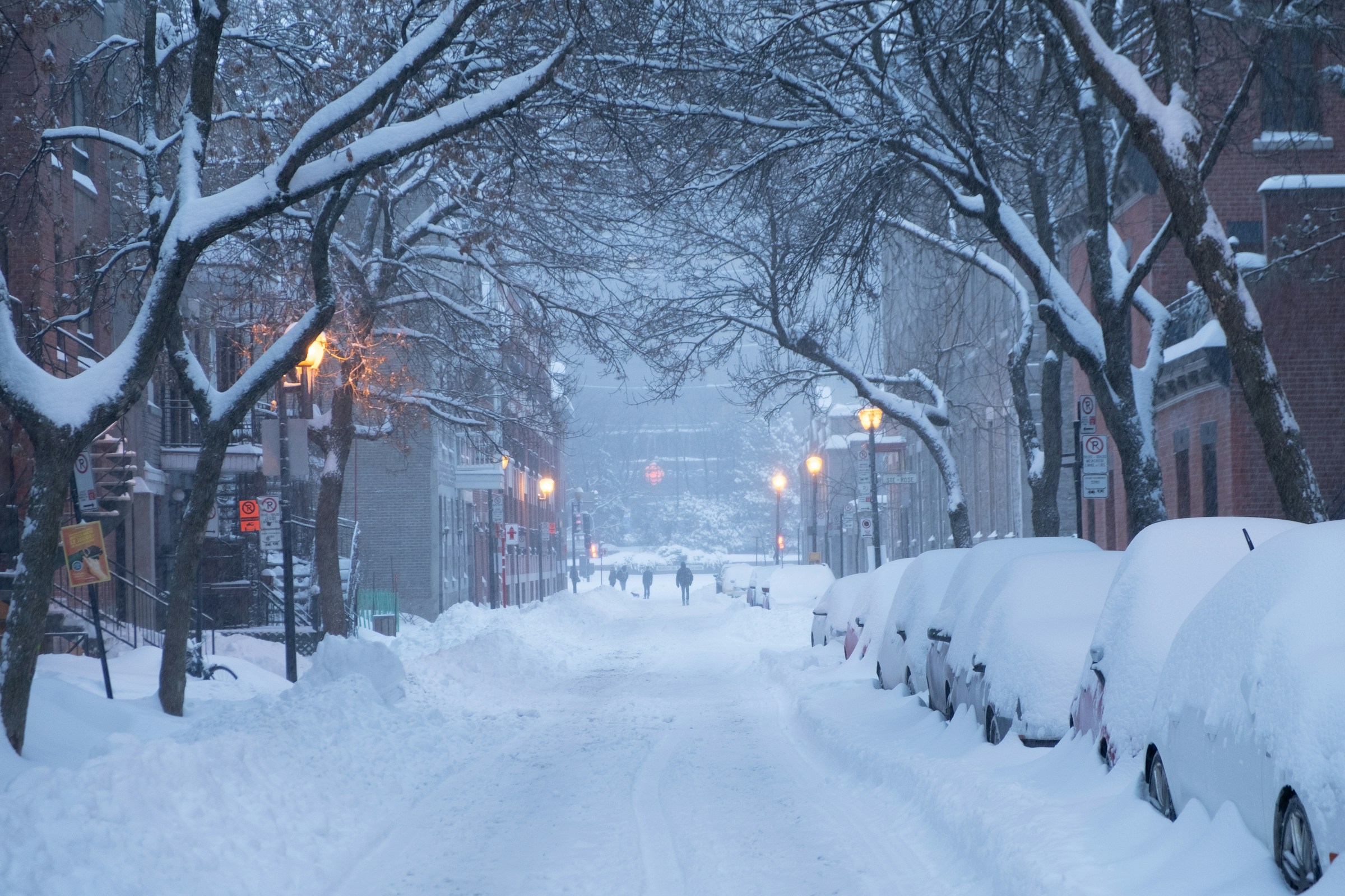 snow
